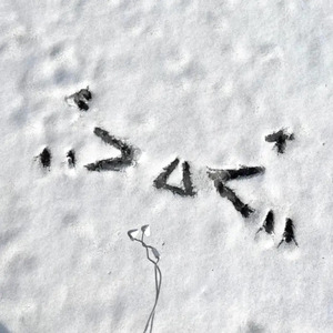 芙宁娜爆乳自慰
