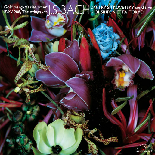 芙宁娜爆乳自慰
